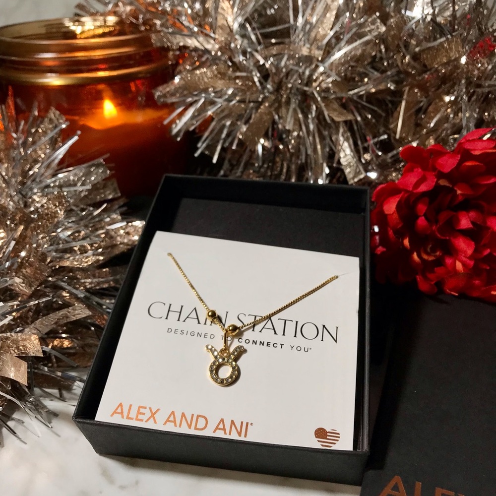 Alex and Ani Chain Station Necklace